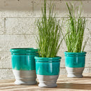 NAPA Home & Garden, ONION GRASS DROP-IN 25",GP208