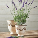 NAPA Home & Garden, FRENCH LAVENDER DROP-IN 18",GP215