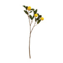 NAPA Home & Garden, LEMON BRANCH 29.5",GP237