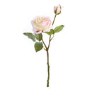 Garden Rose Cutting - NAPA Home & Garden