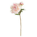 NAPA Home & Garden, PEONY STEM Collection