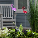 Palm Beach Plastic Flamingo Solar Garden Stake 33"H, 2 Assorted, 12PCS CDU