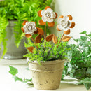 VivaStyle Garden Stake, Metal & Ceramic Flower Plant Pick, 12"H, Set of 24 in Bucket Display