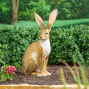 Hop Into Spring Garden Statue, Resin Hare Statue, 21"H