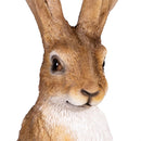 Hop Into Spring Garden Statue, Resin Hare Statue, 21"H