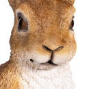 Hop Into Spring Garden Statue, Resin Hare Statue, 21"H