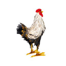 Hillside Pasture Garden Statue, Metal Hen Garden Statue, Black and White Feathers, 14"H