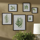 Napa Home Garden, LEAF STUDY WATERCOLOR GALLERY ,SET OF 6,hc160