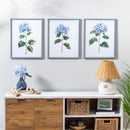 Blue Coastal, Blue Hydrangea Wall Decor, Canvas with Beaded Frame, 16" L x 20" H, Asst of 3
