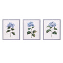 Blue Coastal, Blue Hydrangea Wall Decor, Canvas with Beaded Frame, 16" L x 20" H, Asst of 3