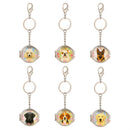Hillside Pasture Pet Keychain, Asst of 6, Display