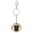 Hillside Pasture Pet Keychain, Asst of 6, Display