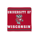University of Wisconsin-Madison Quick Dry Kitchen Towel
