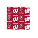 University of Wisconsin-Madison Quick Dry Kitchen Towel