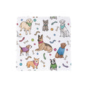 Pet Central Kitchen Towel Quick Dry Dish Cloth, 10"x10", Set of 3