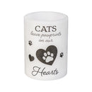 Memorial Pet LED Candle with Flickering Flame, Dog/Cat, Asst of 2, 3" x 4", Color Box