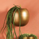NAPA Home & Garden, PERCY WALL CACHEPOT,MJ403