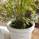 NAPA Home & Garden, SOFT FERN DROP-IN