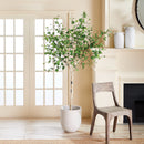 NAPA Home & Garden, BIRCH TREE DROP-IN 6'4",N2CC05