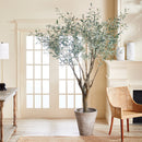NAPA Home & Garden, GRAND TREE DROP-IN COLLECTION