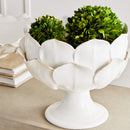 NAPA Home & Garden, DI ROSA FOOTED DECORATIVE BOWL,N2MG24WH