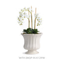 NAPA Home & Garden, LINEA & COLETTA DECORATIVE COLLECTION