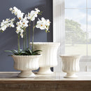 NAPA Home & Garden, COLETTA Decorative Footed Bowl