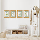 NAPA Home & Garden, WHITE FLORAL STUDY, SET OF 4,N2NH20