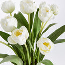 NAPA Home & Garden, Peony Tulip Drop-In Bundle