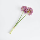 NAPA Home & Garden, Allium Stems, Bundle of 3