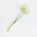 NAPA Home & Garden, Allium Stems, Bundle of 3
