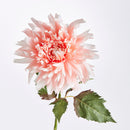 NAPA Home & Garden, CHRYSANTHEMUM STEM