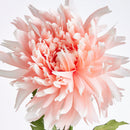 NAPA Home & Garden, CHRYSANTHEMUM STEM