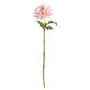NAPA Home & Garden, CHRYSANTHEMUM STEM