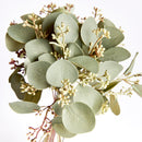 NAPA Home & Garden, SILVER DOLLAR EUCALYPTUS CUTTINGS, BUNDLE OF 12,N3GP13