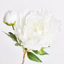 NAPA Home & Garden, PEONY STEM Collection