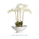 NAPA Home & Garden Decorative Vases and Bowls Collection