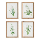 NAPA Home & Garden, GARDEN BLOOM PRINTS, SET OF 4,N3NH32