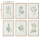 NAPA Home & Garden, MID-SUMMER BLOOMS PRINTS, SET OF 6,N3NH36