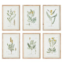 NAPA Home & Garden, MID-SUMMER BLOOMS PRINTS, SET OF 6,N3NH36