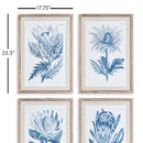 NAPA Home & Garden, INDIGO PROTEA PRINTS, SET OF 4,N3NH49