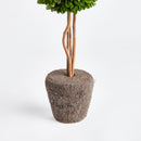 NAPA Home & Garden, BOXWOOD SINGLE SPHERE TOPIARY DROP-IN 16",N3PG02