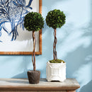 NAPA Home & Garden, BOXWOOD SINGLE SPHERE TOPIARY DROP-IN 24",N3PG03