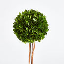 "NAPA Home & Garden, Boxwood Topiary Drop-In Collection"