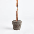 "NAPA Home & Garden, Boxwood Topiary Drop-In Collection"