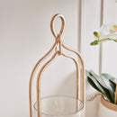 NAPA Home & Garden, Braiden & Amara Collection