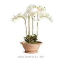 NAPA Home & Garden, WAKEFIELD Handmade Alvena Forcing Pot Collection