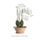 NAPA Home & Garden, WAKEFIELD Handmade Alvena Forcing Pot Collection