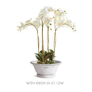 NAPA Home & Garden, WAKEFIELD Handmade Alvena Forcing Pot Collection