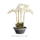NAPA Home & Garden, WAKEFIELD HANDMADE HENLEY FORCING POT